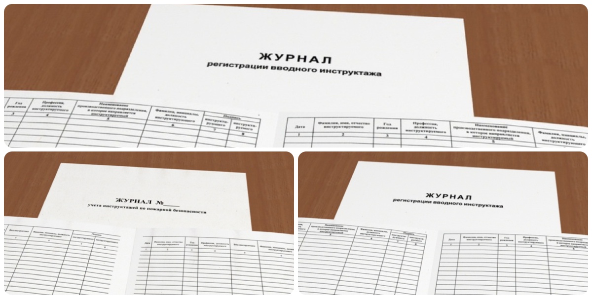 Вводный журнал по охране труда купить в Белогорске